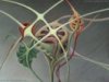 art philosophy artphilosophy graphilosophy surrealism Vitaly Kupchenko philosophical artwork philosophical drawing painting artistic